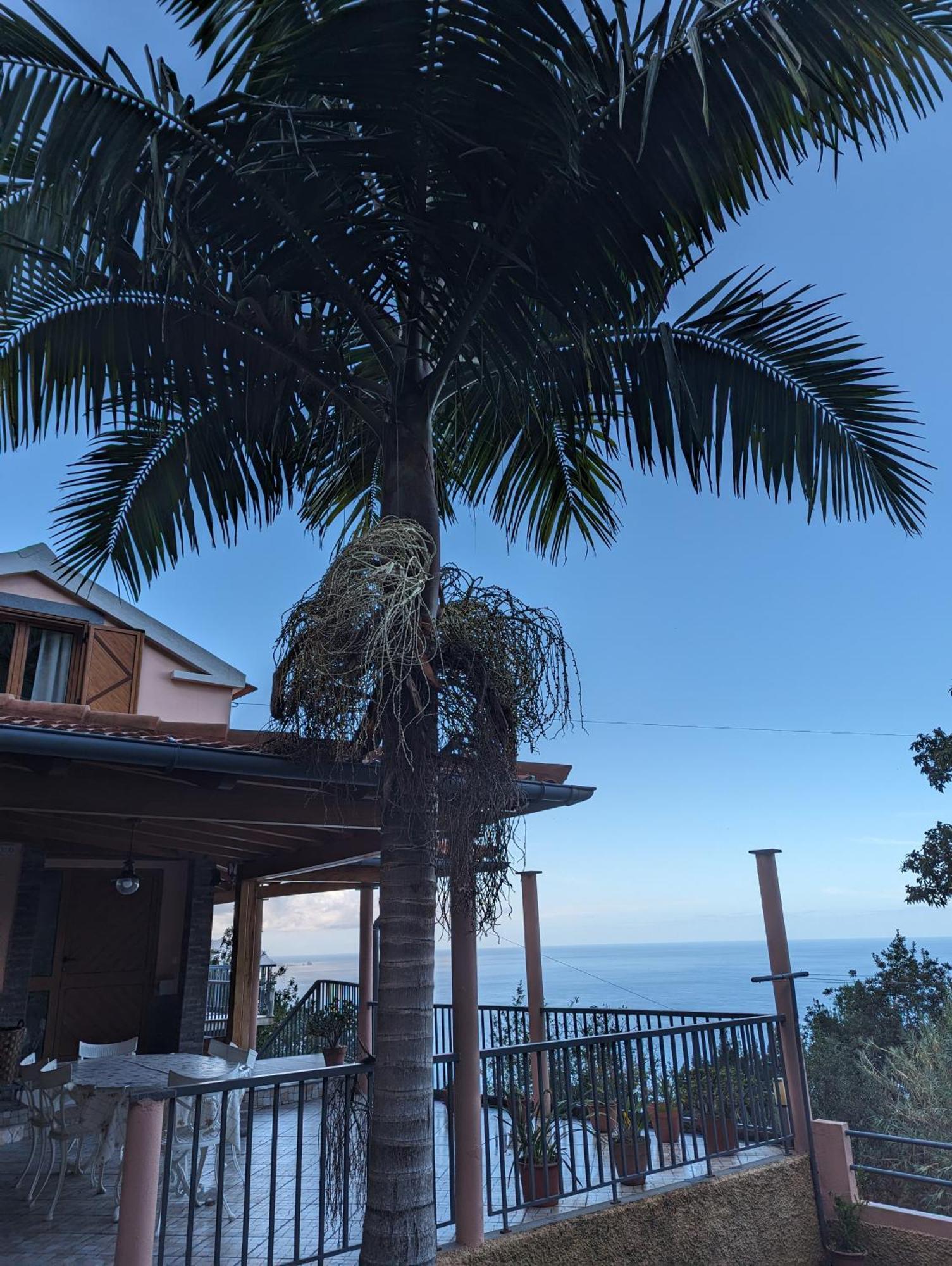 Fantatic Holiday House Ponta Delgada  Exterior photo